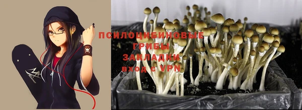 мет Балахна