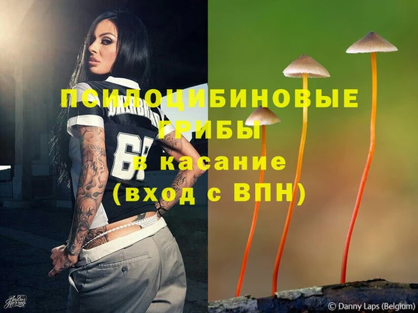 соль ск Балабаново