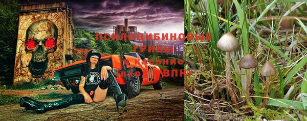 mdma Кукмор